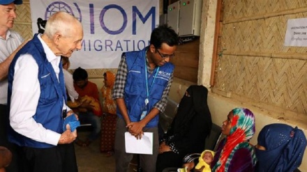 Rohingya about to become the wretched of the earth: UN migration chief