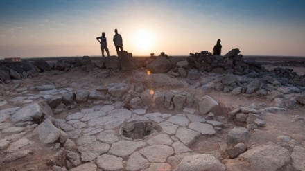 Il pane è nato prima dell'agricoltura, circa 14.000 anni fa