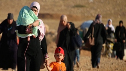 Ketika Pengungsi Suriah Kembali ke Kehidupannya