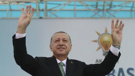 Erdogan, nostra economia forte, risolveremo problema
