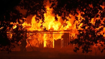 De Portugal aos EUA, alterações climáticas agravam problema