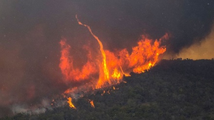 Zjarret në Kaliforni: Shtëpitë në Malibu digjen ndërsa numri i vdekjeve ngjitet në nënt