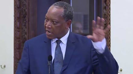 Tanzania yaunga mkono juhudi za Afrika Kusini za kukomesha machafuko dhidi ya wageni + Sauti