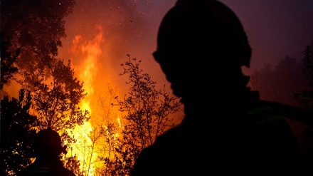 Portogallo brucia ancora, dichiarato stato di allarme 