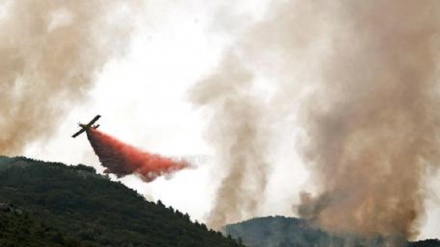 Incendi in Spagna, 3000 evacuati