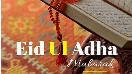 Seruan MUI Sambut Hari Raya Idul Adha