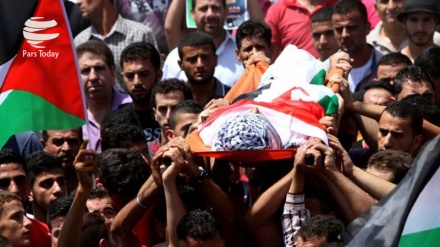  Israel mata a 2 palestino en 19.º viernes de Marcha de Retorno+video