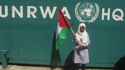 העולם כולו תומך בפלסטינים חוץ מארה