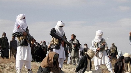 Talibán: Daesh está eliminado del norte de Afganistán