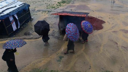 HRW skeptical of Myanmar inquiry into Rohingya abuses