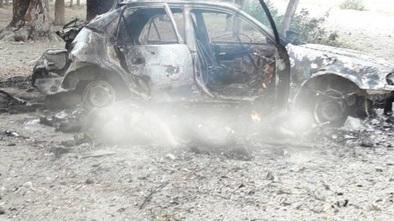 کشته شدن بیش از 260 عضو گروه طالبان در افغانستان 