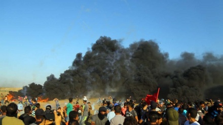 Ğəzzədə vistminə 