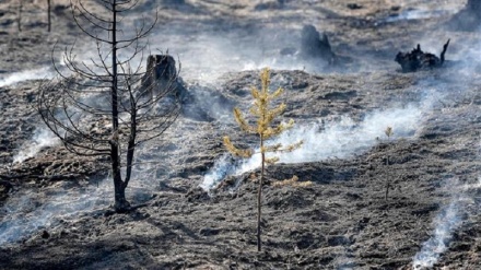 Swedish fighter jets test new bomb-dropping method to fight wildfires
