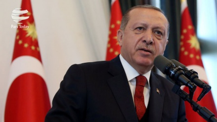 ארדואן: הלירה הטורקית 