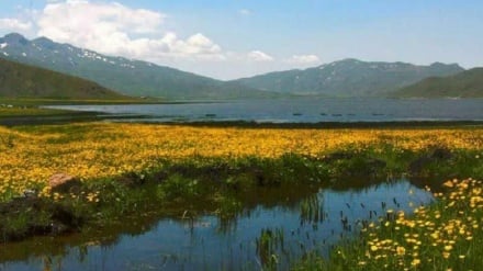 イランからのタイムラプス動画（６）；北西部アルデビール州の自然