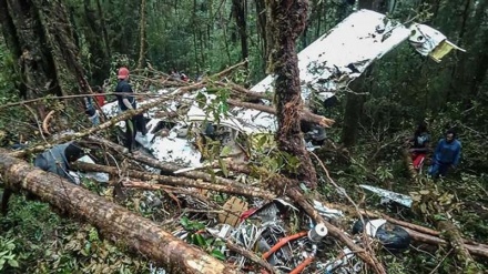 Eight bodies found dead in Indonesian plane crash