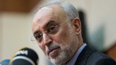 Salehi: Inggris Ganti AS di Pokja Rekonstruksi Reaktor Air Berat Arak