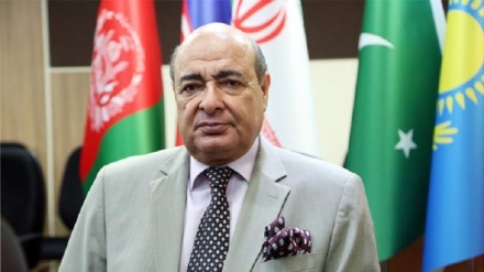 نظام اقتصاد بازار هنوز در افغانستان نظام مند نیست
