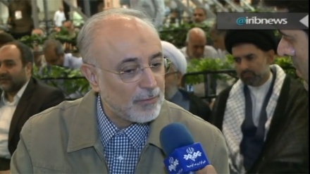 イラン原子力庁長官、「アラーク重水炉の設計変更作業グループに、アメリカの代わりにイギリスが加わった」