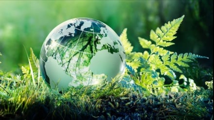 Few things matter more to humans: UN report says we must protect and restore biodiversity of world's soil