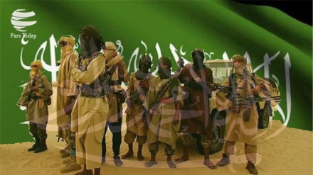 Mengulas Urgensi Keberhasilan Militer dan Komite Rakyat Yaman di al-Bayda