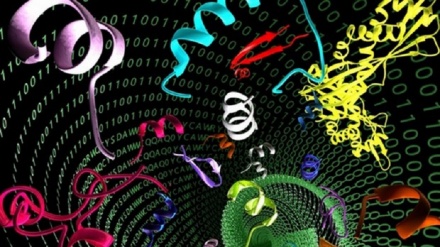 Gli antibiotici del futuro 'nascosti' nell'uomo