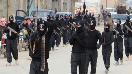 Terrorisme : Al-Qaïda et Daech fusionnent