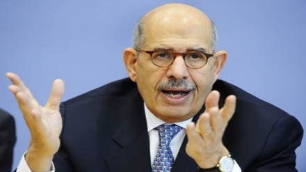 Masar: Muhammad El-Baradei Ya Yi Gargadi Akan Duk Wani Yunkuri Na Yi Wa Tsarin Mulki Kwaskwarima