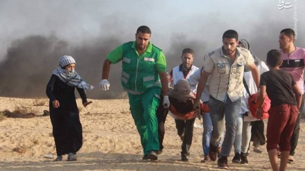 7 mártires palestinos, resultado de 27.º viernes de protestas antisraelíes en Gaza(video+fotos)