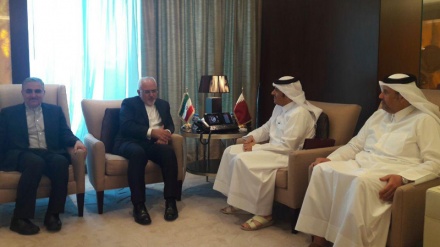 イラン外相が各国外相と会談