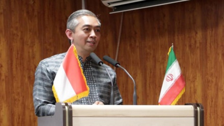 Octavino Jelaskan Tantangan Demokrasi Indonesia dan Internasional 
