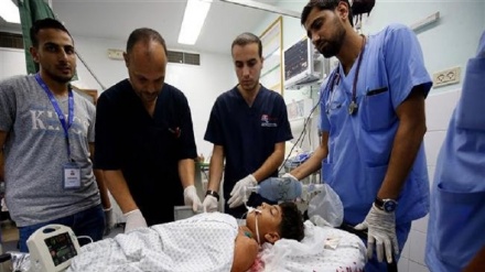 Sete palestinos mortos, mais de 500 feridos em confrontos com soldados israelenses em Gaza