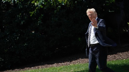 Trump alerta a Siria y Rusia que no ataquen a terroristas en Idlib