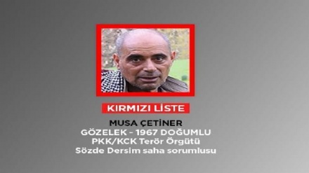 Türkiye'de aranan PKK'lı terörist öldürüldü 