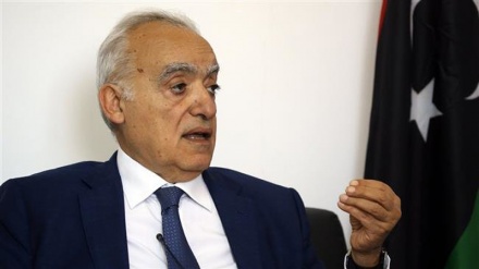 UN envoy says hard to hold Libya elections in December