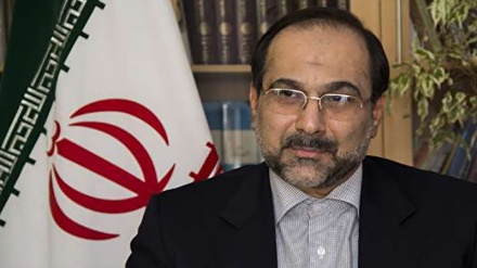 ２００人以上のイランの学者が世界的な学者に