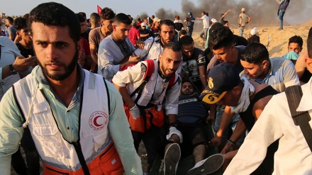 Me dhjetëra palestinezë u plagosën në xhaminë Al Aksa