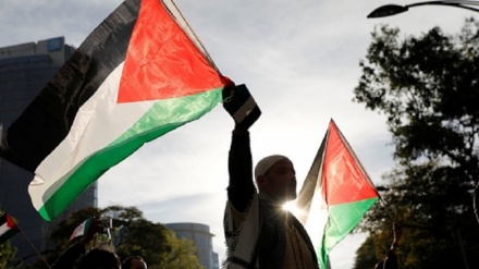 Transformasi Palestina tahun 2019