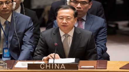 中国常驻联合国代表：对索尔兹伯里案件的调查不能够确定袭击凶手