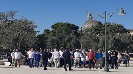 Gerusalemme, 924 coloni invadono al-Aqsa per la “Festa del Trono”