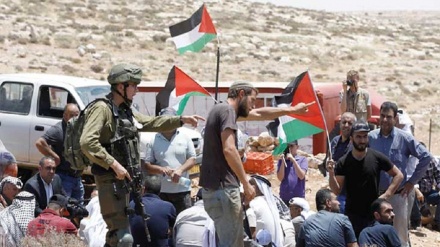 Organizações internacionais apoiam palestinos