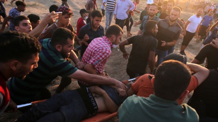 ガザ地区で、イスラエル軍の銃撃により、パレスチナ人３人が殉教