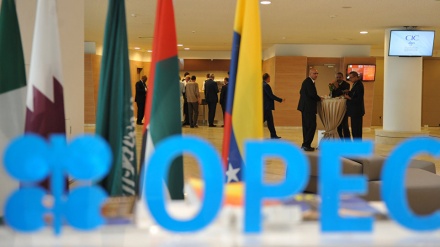 OPEC-u mbështet balancimin e tregut të naftës