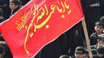 A manifestação do Alcorão na Revolta do Imam Hussein(AS) (1)