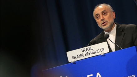 Salehi katika kikao cha IAEA mjini Vienna;  sisitizo la majukumu na matarajio ya Iran kutoka kwa wakala huo