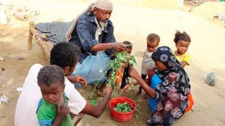 Ripoti: Njaa yawalazimisha Wayemen kula majani