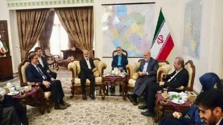 حضور هیات همبستگی مجلس اعلای عراق در سفارت ایران در بغداد