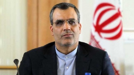 ­جابری انصاری: ایران هم نگران ادلب است