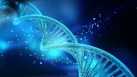 Mengenal Apa Itu DNA