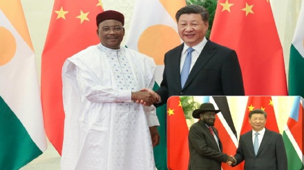 中国国家主席与尼日尔和南苏丹两国总统举行会晤